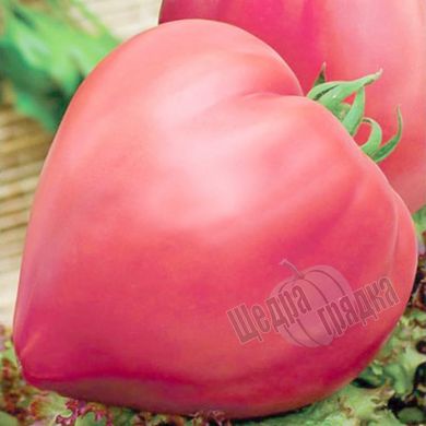 Насіння томату (помідора) Волове серце рожевий