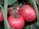 Семена томата (помидора) Пинк Буш F1