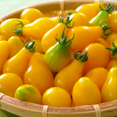 Семена томата (помидора) Китайская грушка желтая, 0,1 г