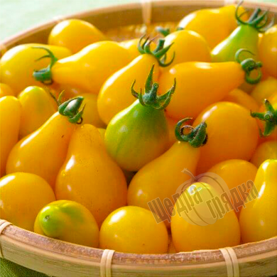 Насіння томату (помідора) Китайська грушка жовта, 0,1 г