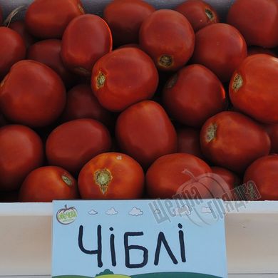 Насіння томату (помідора) Чіблі F1