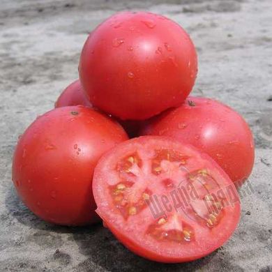 Семена томата (помидора) Тарпан F1, 10 шт
