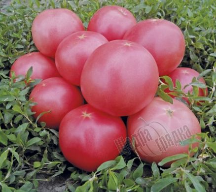 Семена томата (помидора) Пинк Свитнес F1, 500 шт