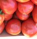 Насіння томату (помідора) Кафа F1