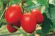 Семена томата (помидора) Бенито F1
