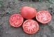 Семена томата (помидора) Тарпан F1, 10 шт