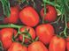 Насіння томату (помідора) Чіблі F1, 20 шт