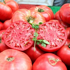 Насіння томату (помідора) Супер Роял F1