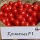 Насіння томату (помідора) Дональд F1