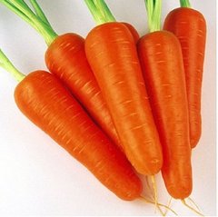 Семена моркови Абликсо F1, 10 г