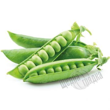 Семена зеленого горошка Сомервуд, 50 шт