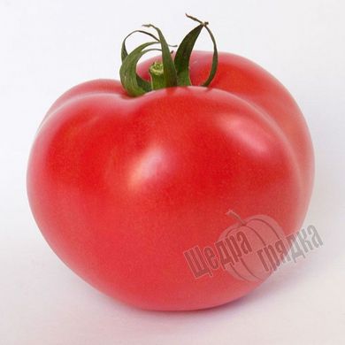 Cемена томата (помидора) Китару (KS 14) F1