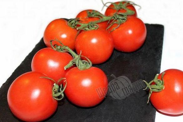 Семена томата (помидора) Ричи F1