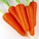 Насіння моркви Абліксо F1