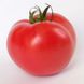 Насіння томату (помідора) Кітару (KS 14) F1