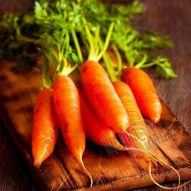 Насіння моркви Дитяча