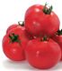 Насіння томату (помідора) UG B169 F1