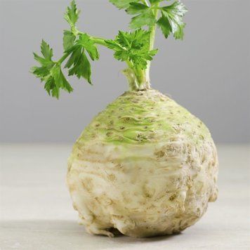 Насіння селери кореневої Ілона, 0,03 г.