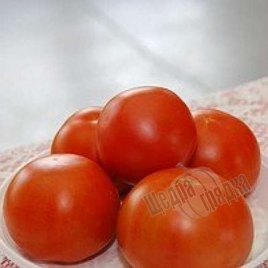 Семена томата (помидора) Дунай К 20.48 F1