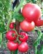 Насіння томату (помідора) Касаморі F1