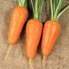 Насіння моркви Болтекс, 500 г