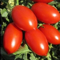 Семена томата (помидора) Санмино F1, 10 шт
