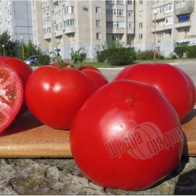 Семена томата (помидора) Чимган F1