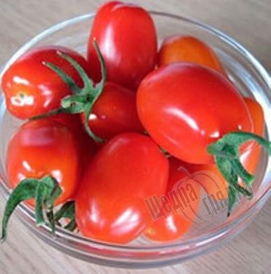 Семена томата (помидора) Намиб F1