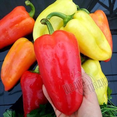 Семена перца сладкого Айвенго, 500 шт