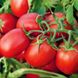 Насіння томату (помідора) Наміб F1
