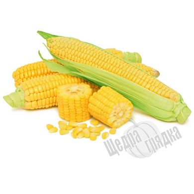 Семена кукурузы GSS 5649 F1 SG, 500 г