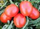 Насіння томату (помідора) Бінго F1, 10 шт