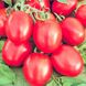 Семена томата (помидора) Бинго F1