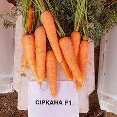 Насіння моркви Сіркана F1, 400 шт.