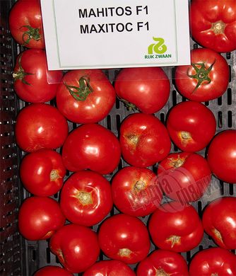 Насіння томату (помідора) Махітос F1