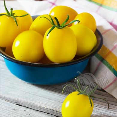Насіння томату (помідора) Золота Куля, 0,2 г