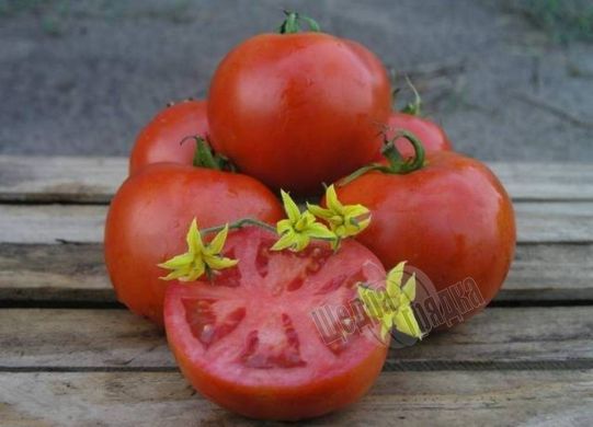 Семена томата (помидора) Махитос F1