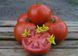 Насіння томату (помідора) Махітос F1