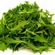 Насіння салату Мізуна зелена (Hem Zaden B.V.), 0,5 г