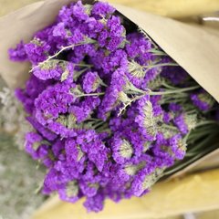 Насіння квітів статиці Пурпуровий атракціон, 10 г, пурпуровий
