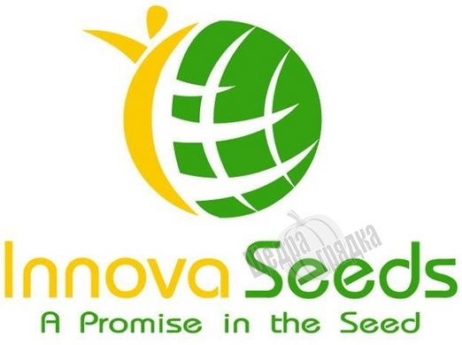 Насіння кавуна Кримсон Світ (Innova Seeds), 500 г