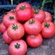 Насіння томату (помідора) Мануса F1