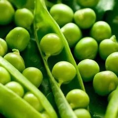 Семена зеленого горошка Липтон