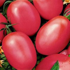 Семена томата (помидора) Розовая сливка