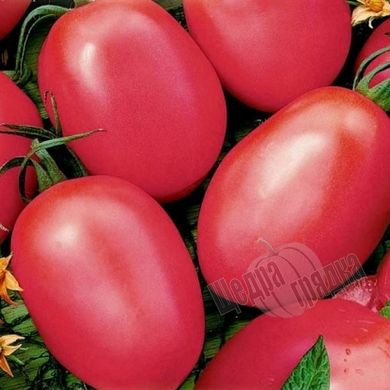 Семена томата (помидора) Розовая сливка