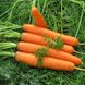 Семена моркови Сатурно F1