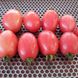 Насіння томату (помідора) Рожева сливка