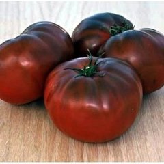 Семена томата (помидора) Блэк Джус F1