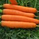 Насіння моркви Смирна