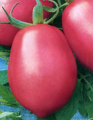Насіння томату (помідора) Рожевий фламінго
